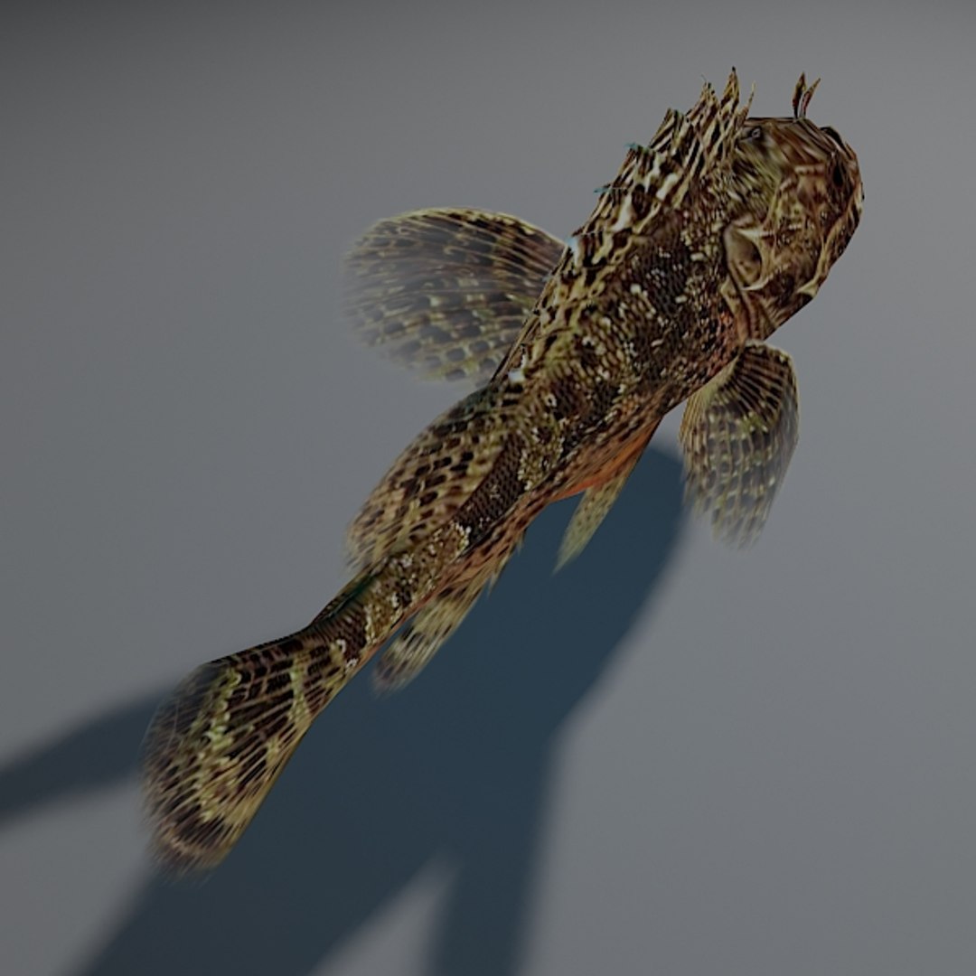 Rockfish Rigged 3d Model