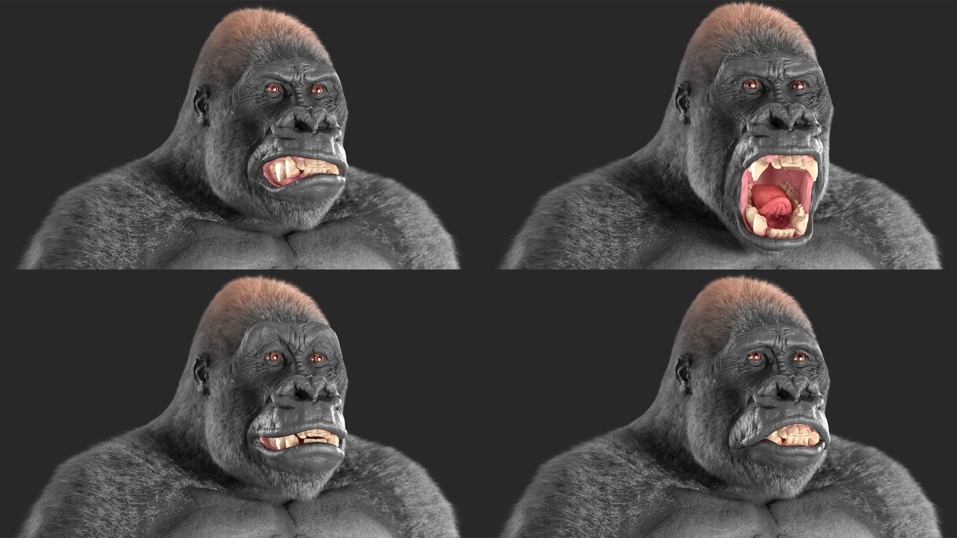 3D Rigged Gorilla Fur Animated Collection - TurboSquid 2298366