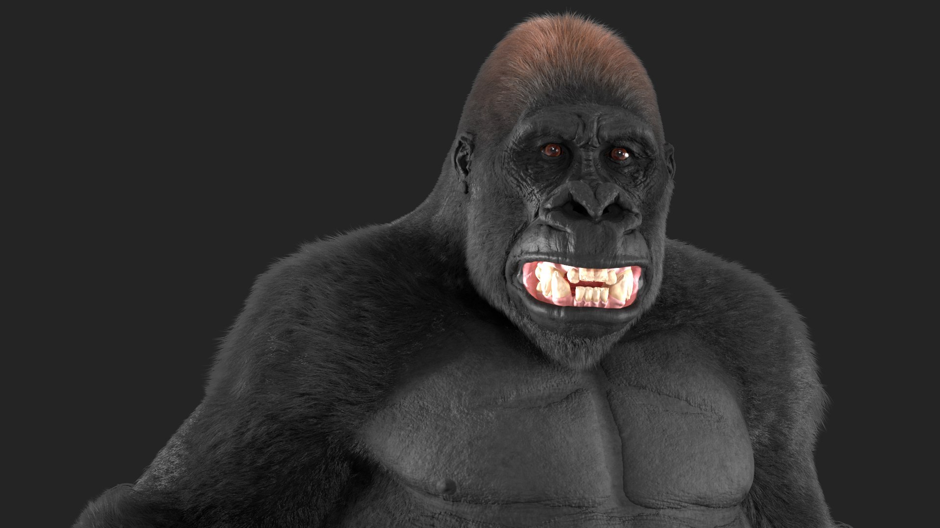 3D Rigged Gorilla Fur Animated Collection - TurboSquid 2298366