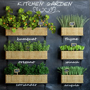 3d model kitchen garden