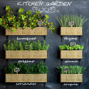Kitchen garden