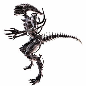 ALIEN  XENOMORPH