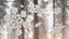 Design intrincado de floco de neve