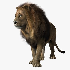 Lion RIG FUR
