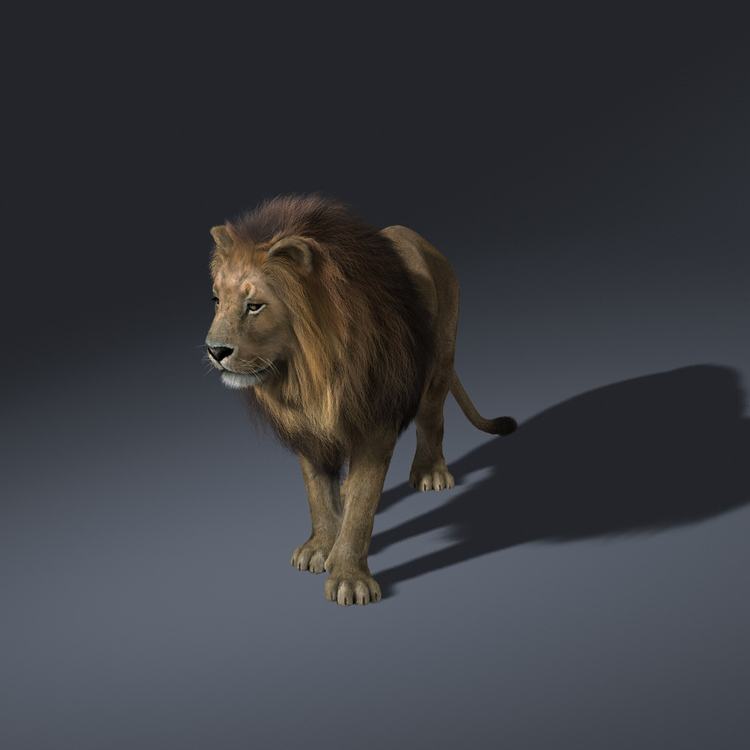 Lion Rigged Fur 3d Model