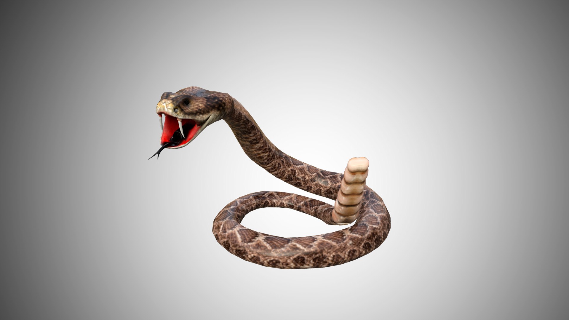 3D Rattle Snake - TurboSquid 1603394