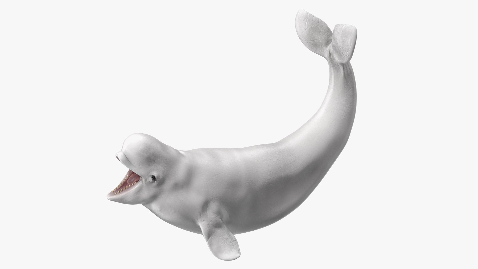 Beluga Whale Young Playful Pose 3D model preview