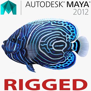 juvenile emperor angelfish rigged 3d ma