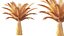 AV Plant Phoenix Canariensis Palm Tree 03
