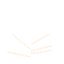 AV Plant Phoenix Canariensis Palm Tree 03