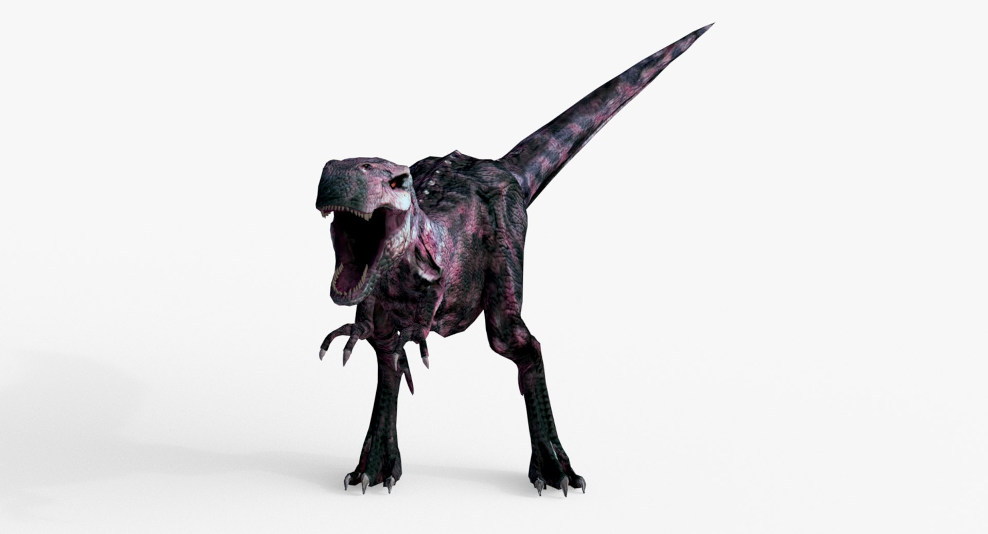 3D Raptor T-rex Dinosaur - TurboSquid 1276547