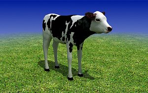 Low Poly 3D Model. Calf Cow