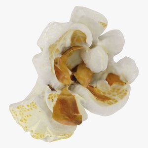 Popcorn 02 model