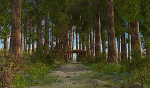 Fantasy Path Forest