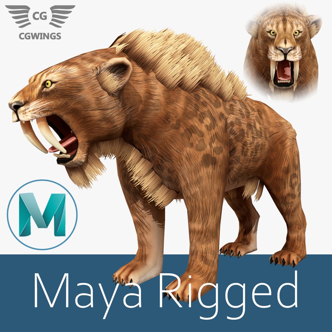 saber tooth 3D model https://p.turbosquid.com/ts-thumb/G8/P4sup8/PWyVppG8/sabertoothicon/jpg/1596123591/1920x1080/fit_q87/672ac690be0e04bce85ddca6df5647504272c9b1/sabertoothicon.jpg