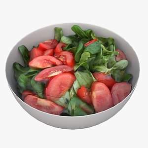 scan bowl salad 3D model
