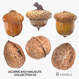 Acorns and Walnuts Collection 02 - 6 models model