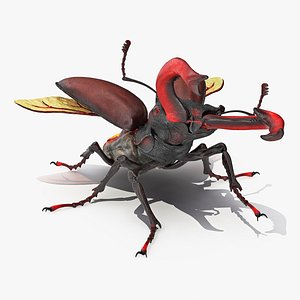3D model lucanus cervus stag beetle