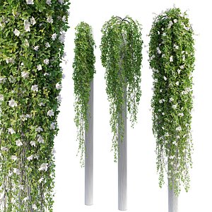 Hanging plant 35 model