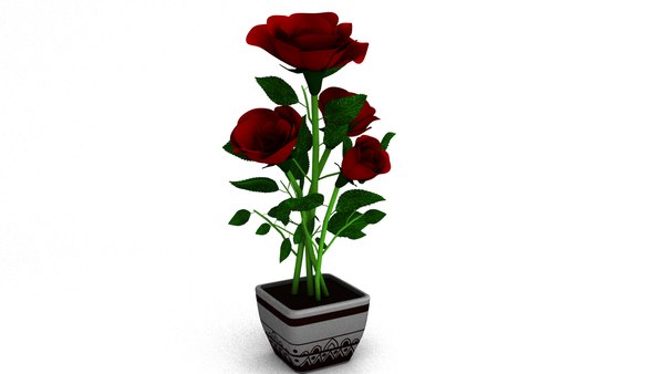 modelo 3d Planta de rosa - TurboSquid 1625568