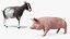 3D Animated Fur Livestock Rigged for Blender Collection model