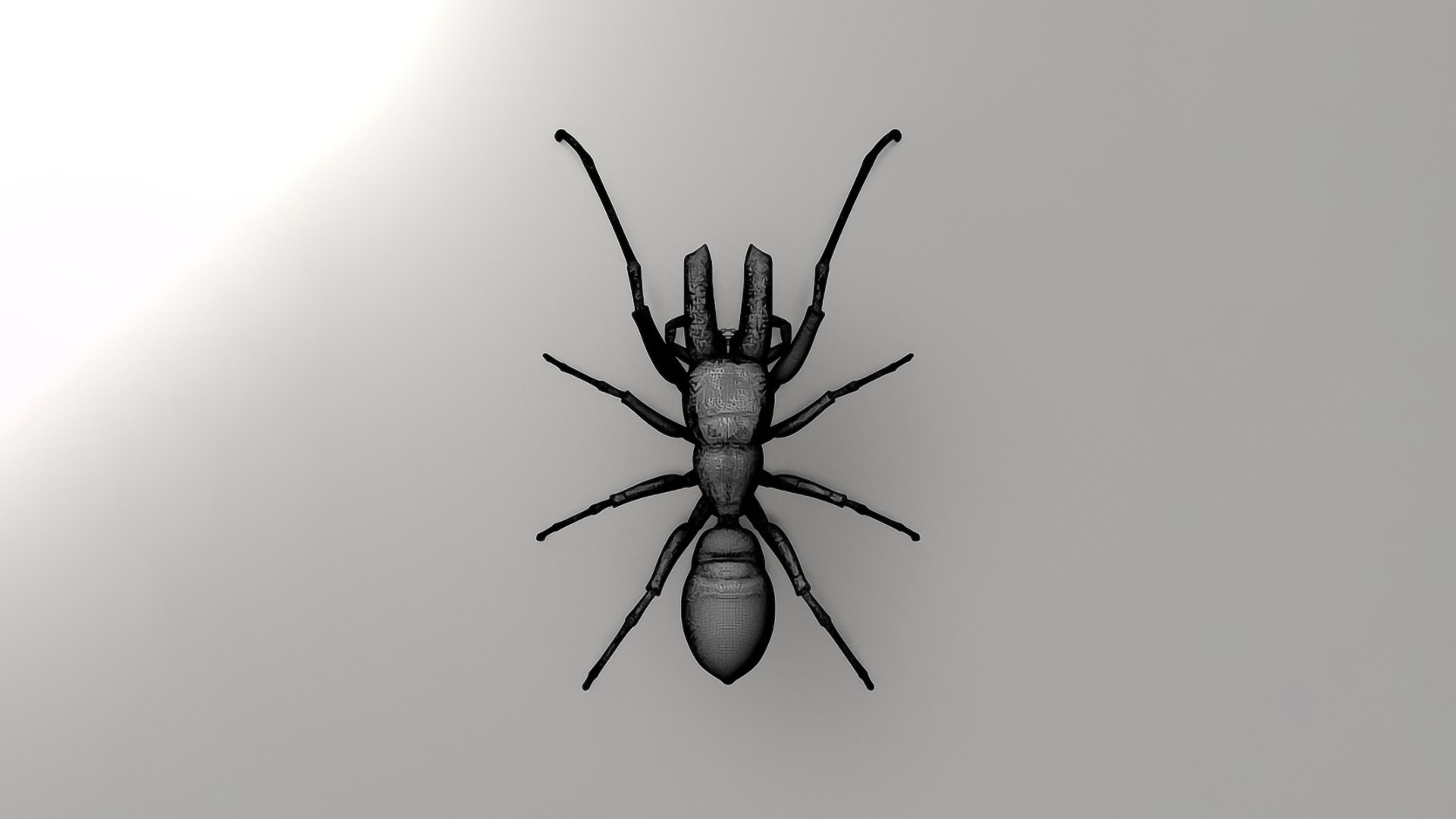 Realistic Insects Pack - Volume 04 3D Model - TurboSquid 2377082