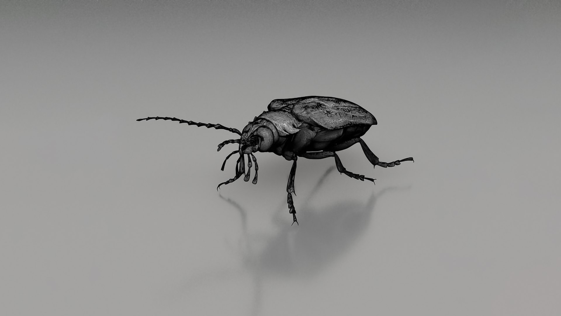 Realistic Insects Pack - Volume 04 3D Model - TurboSquid 2377082