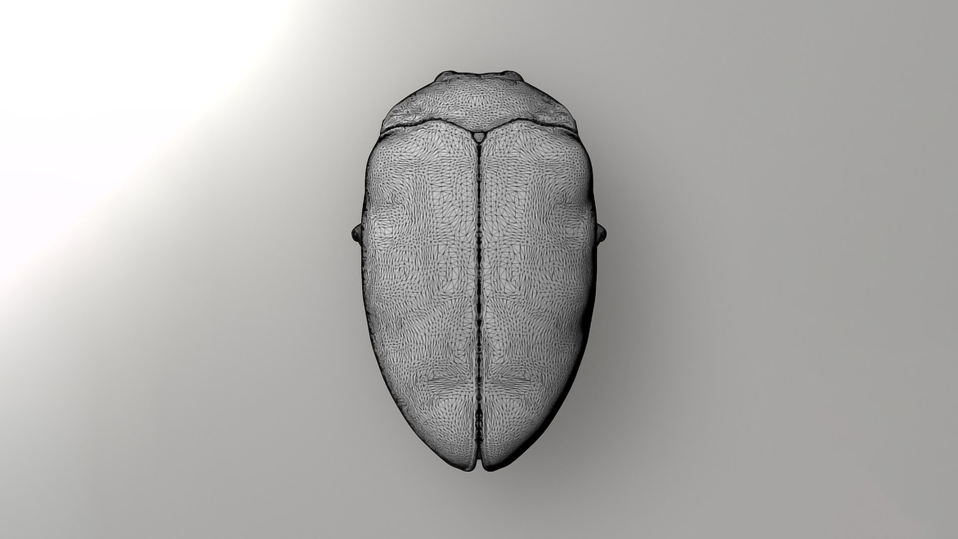 Realistic Insects Pack - Volume 04 3D Model - TurboSquid 2377082