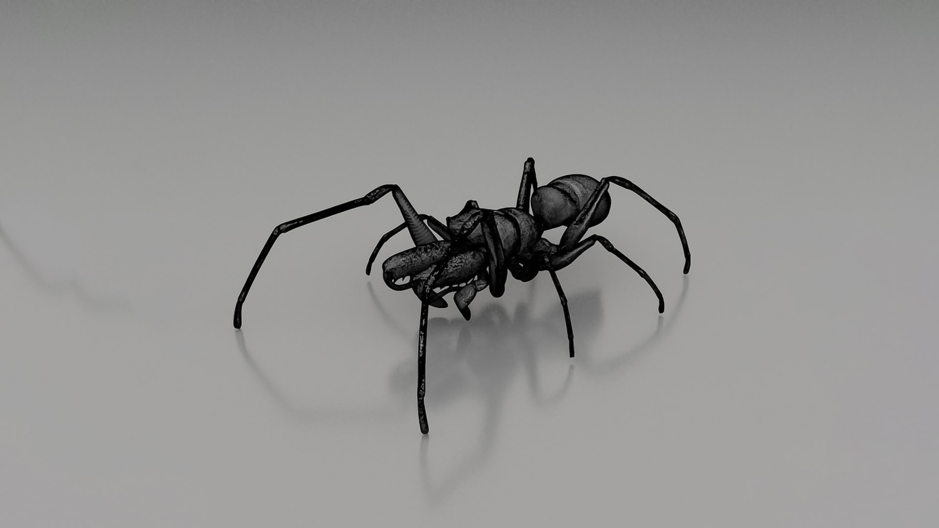 Realistic Insects Pack - Volume 04 3D Model - TurboSquid 2377082