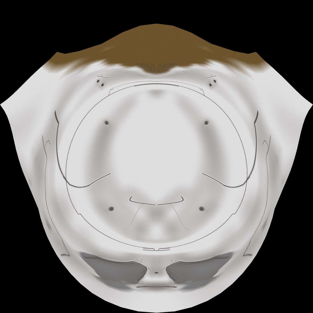3D Krypton Fighter - TurboSquid 2450028