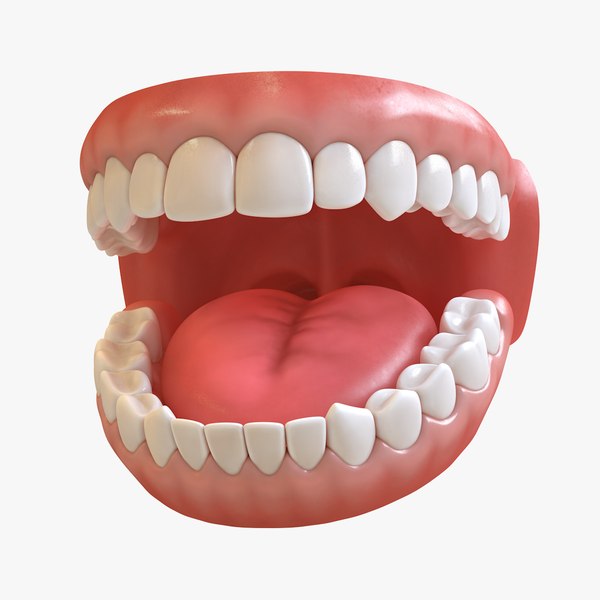 teeth pbr marmoset 3d model