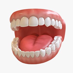 Teeth