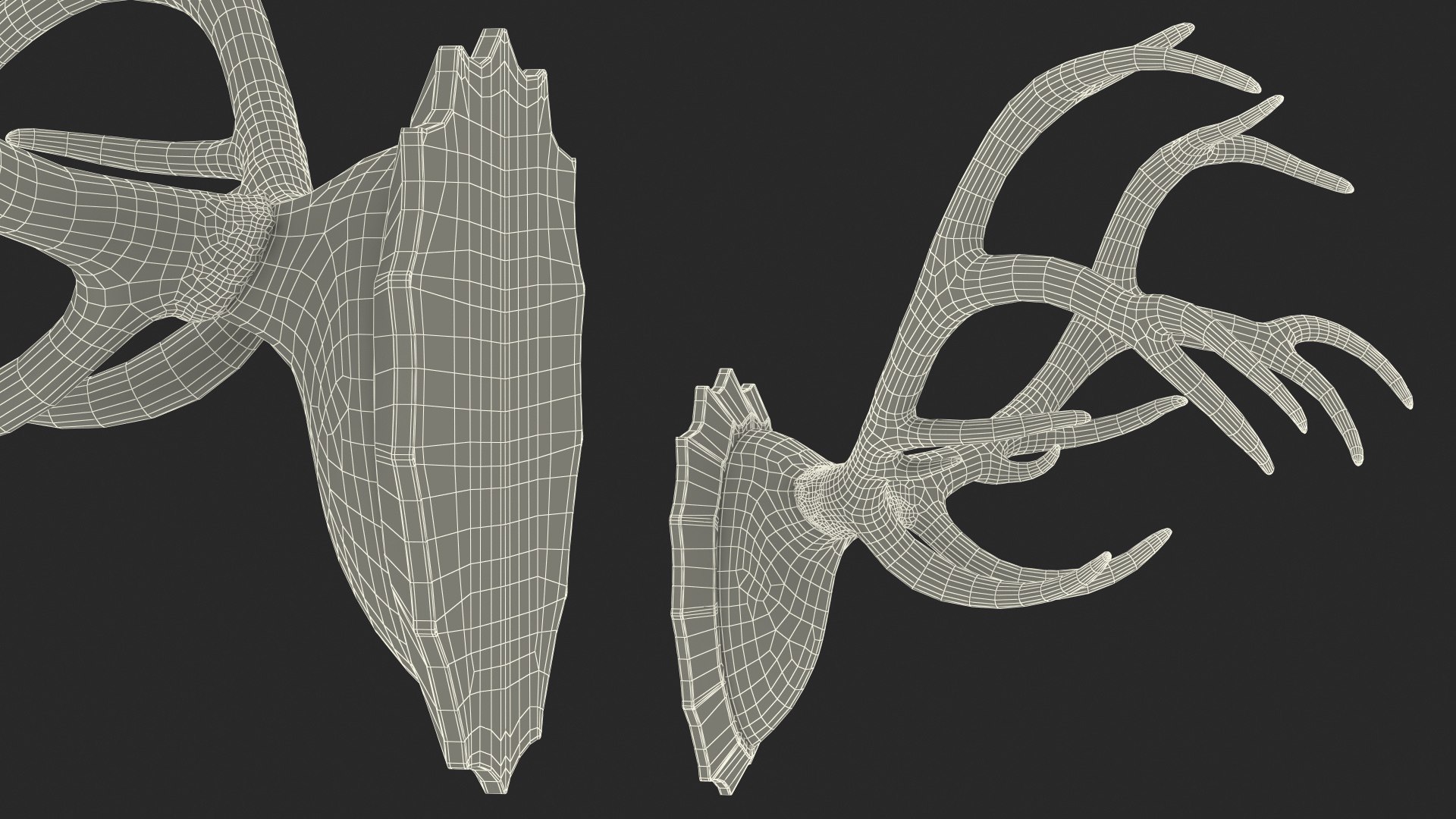 3D Red Deer Stag Antlers on a Wall Mount model - TurboSquid 1786793