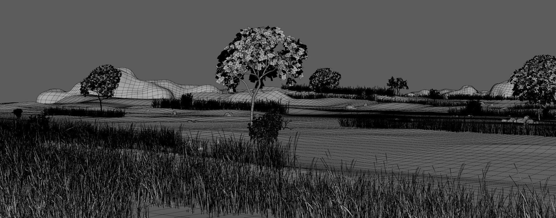 savanna africa savannah model https://p.turbosquid.com/ts-thumb/G9/XXMQ8y/NWeLG9qL/savanna9/jpg/1511917937/1920x1080/fit_q87/6a0abf09a06fd1fea55ff3cdbe9c62d4ec7afc17/savanna9.jpg