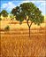African Savannah Landscape