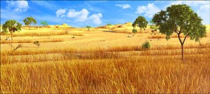 African Savannah Landscape
