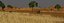 African Savannah Landscape