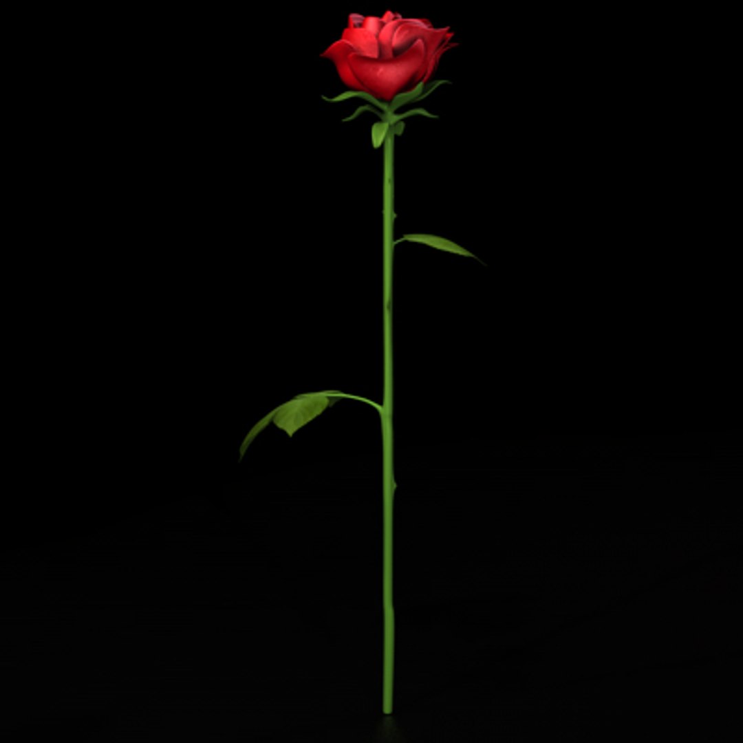 3d Rose Flower