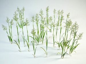 grass bushes 3D model