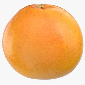 grapefruit 04 model