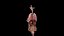 Human Female Body and Organs