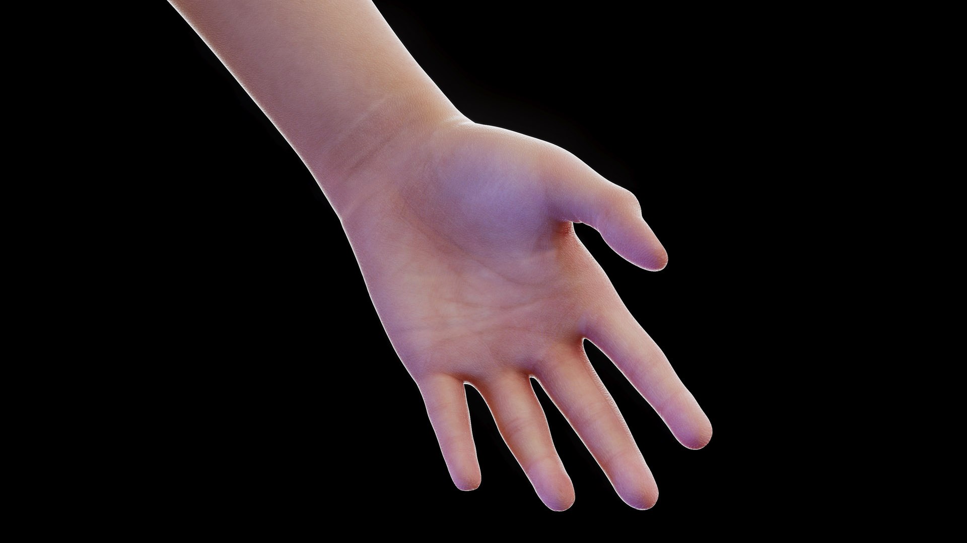 3D Human Female Body and Organs https://p.turbosquid.com/ts-thumb/G9/kwvuLU/V6/female_anatomy_body_09/jpg/1672913755/1920x1080/fit_q87/04bbf70814cbdb9e40ca2449f163ca854913a96f/female_anatomy_body_09.jpg