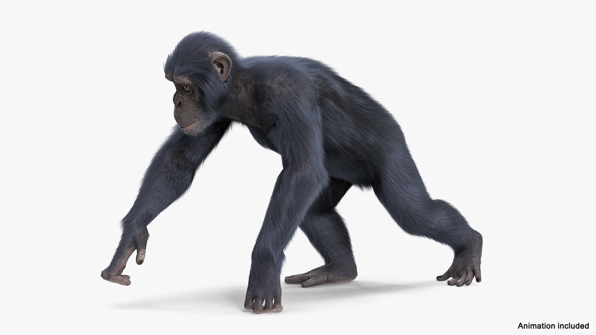 Chimpanzee Running Dark Skin 3D - TurboSquid 1435772