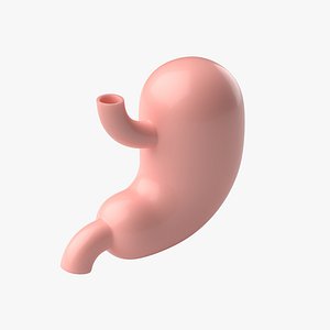 Stomach Cartoon Stylized
