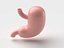 Stomach Cartoon Stylized