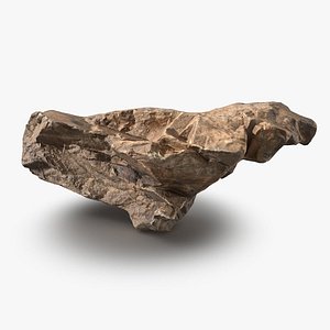 Essential Scanned Rock 21 StemCell