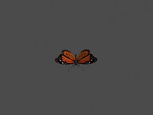 3D butterfly