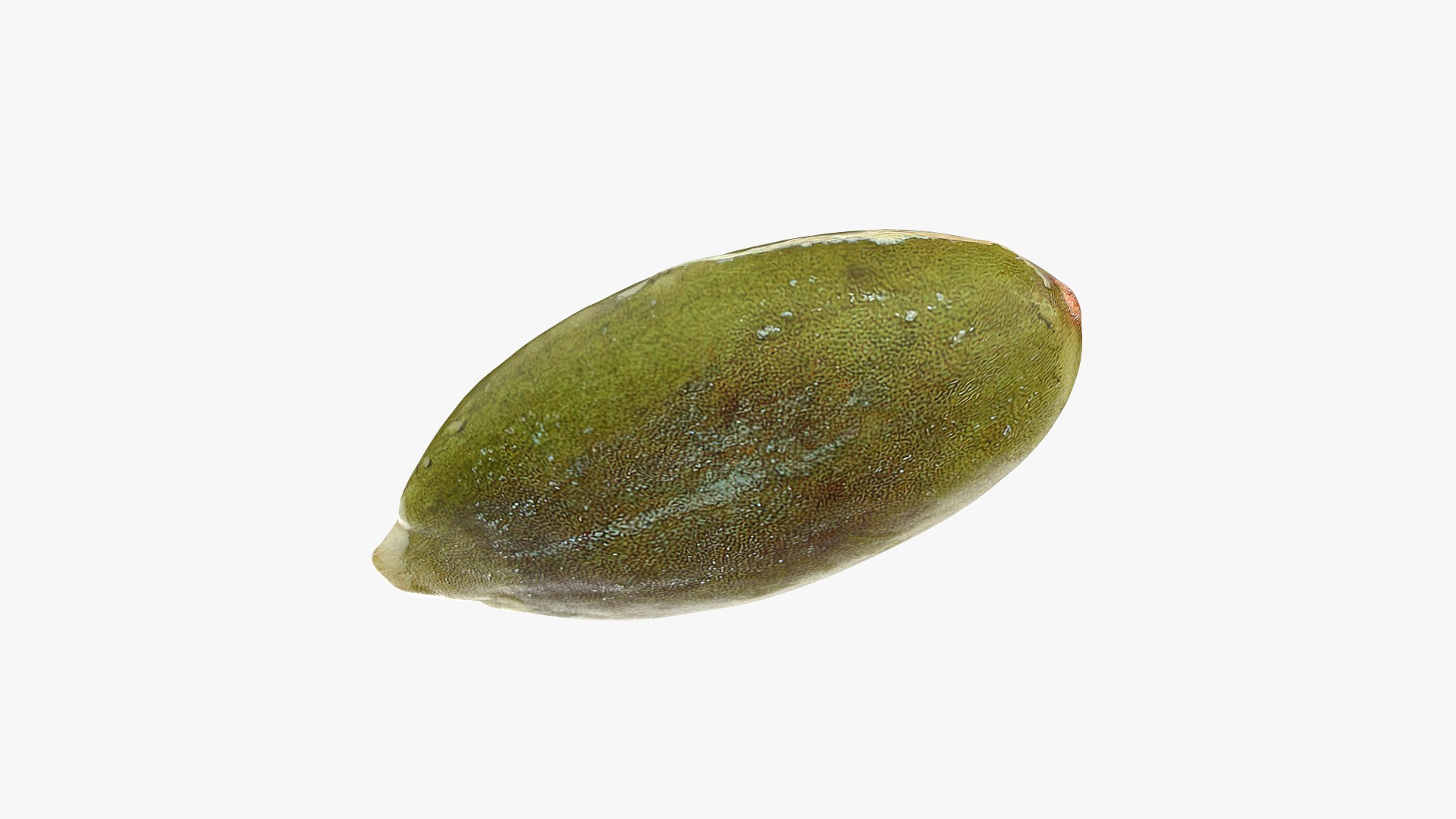 3D Peeled Pumpkin Seed 02 - 3D Scanned https://p.turbosquid.com/ts-thumb/GA/4zyjoh/17/pumpkinseedpeeled02_0006/png/1775038644/1920x1080/fit_q87/39a33339a705aaa2c2bd64add370483a1eaec2a0/pumpkinseedpeeled02_0006.jpg