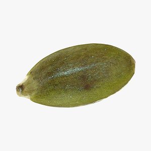 Peeled Pumpkin Seed 02 - 3D Scanned