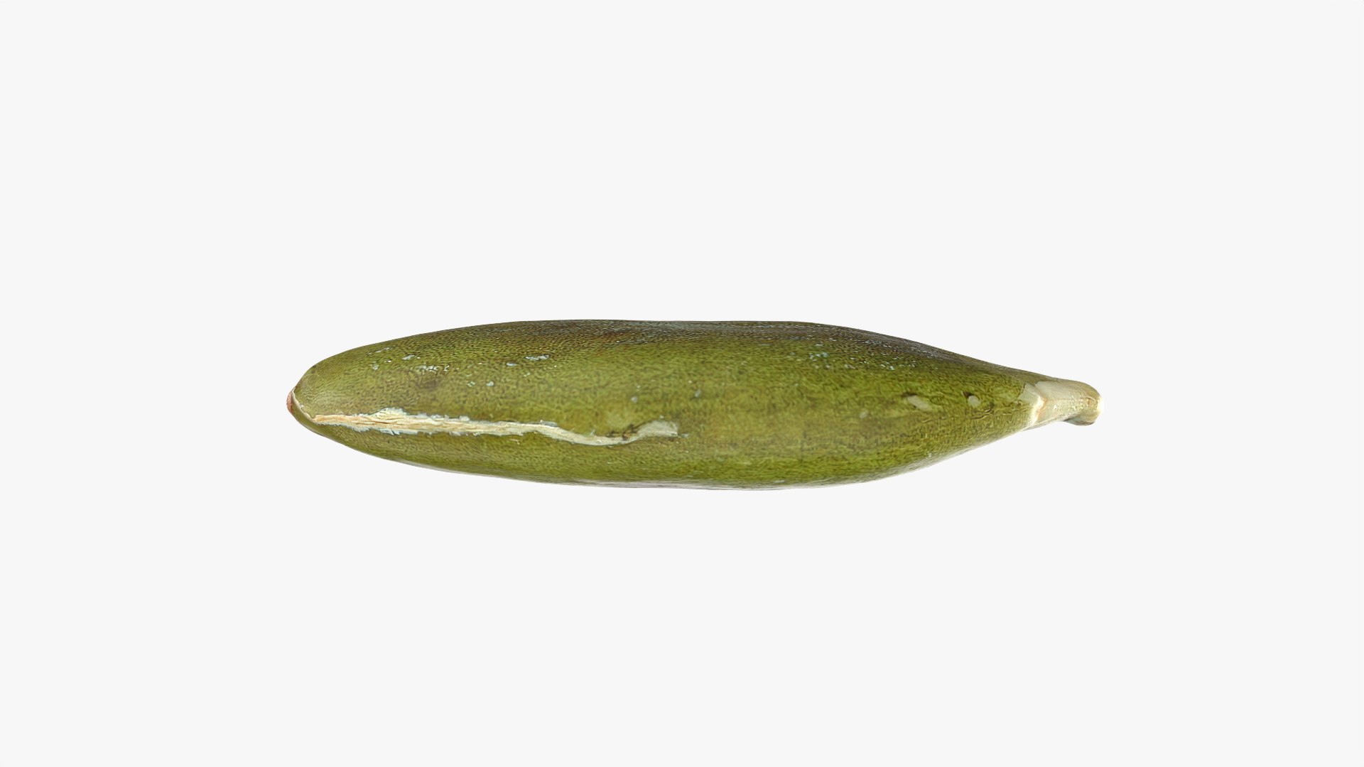 3D Peeled Pumpkin Seed 02 - 3D Scanned https://p.turbosquid.com/ts-thumb/GA/4zyjoh/By/pumpkinseedpeeled02_0004/png/1775038641/1920x1080/fit_q87/2eba5fad1f37efbdc51a713b38911187fe95aafe/pumpkinseedpeeled02_0004.jpg